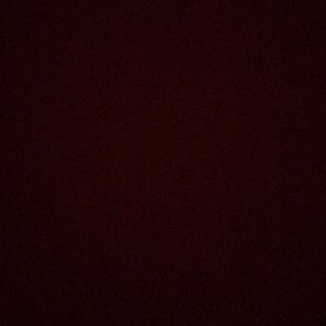 Meet your Posher, Elsie